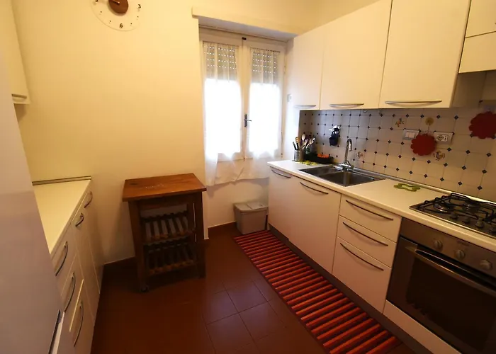 Terrazzo Trieste-africano