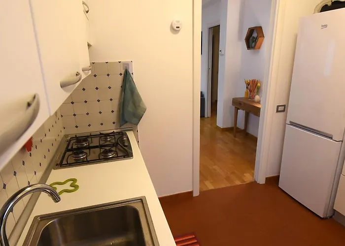 Terrazzo Trieste-africano